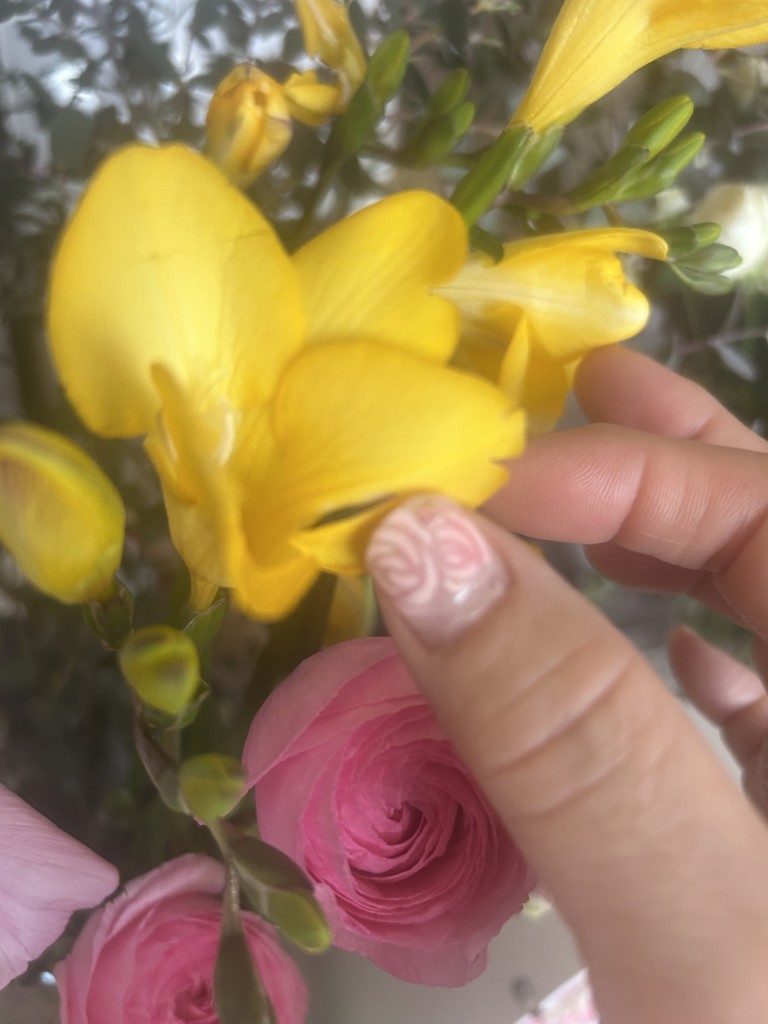 フリージア 生花 黄色とピンクのグラデーション 生花】フリージア(黄) 品種おまかせ【50cm/茨城】｜Flower Smith