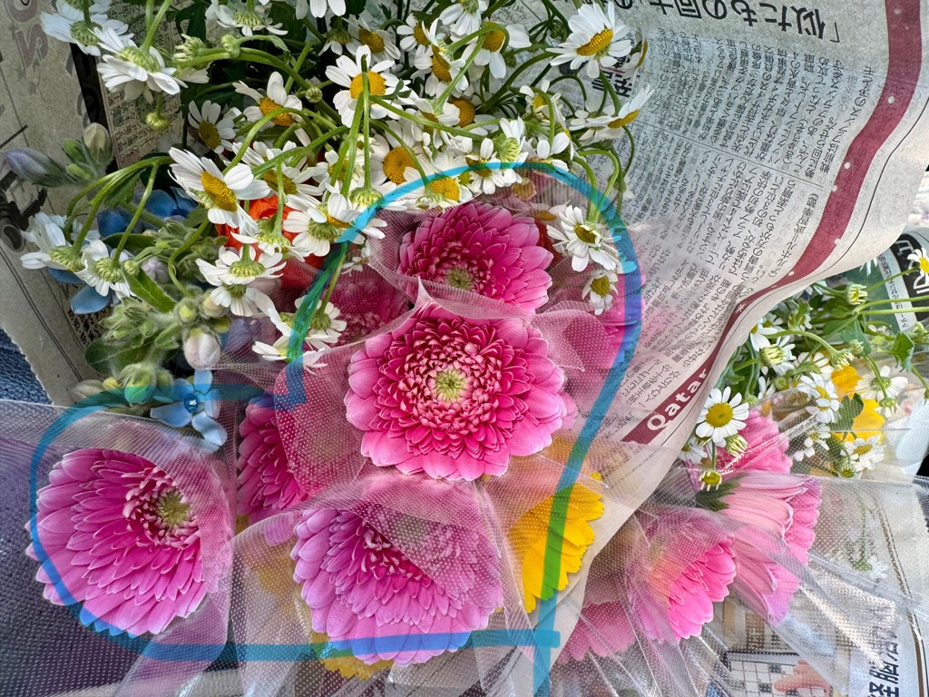 生花】ガーベラ(ピンク) 品種おまかせ【60cm/静岡県】|Flower 生花】ガーベラ(ピンク) 品種おまかせ【60cm/静岡県】|Flower