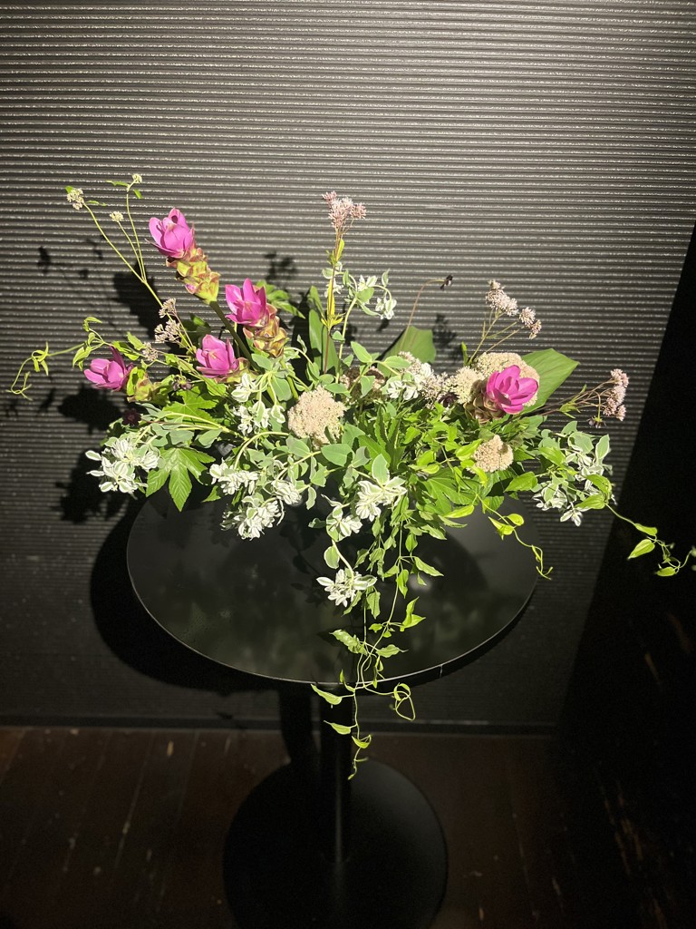 生花】クルクマ(ピンク) 品種おまかせ【50cm/鹿児島県】｜Flower Smith