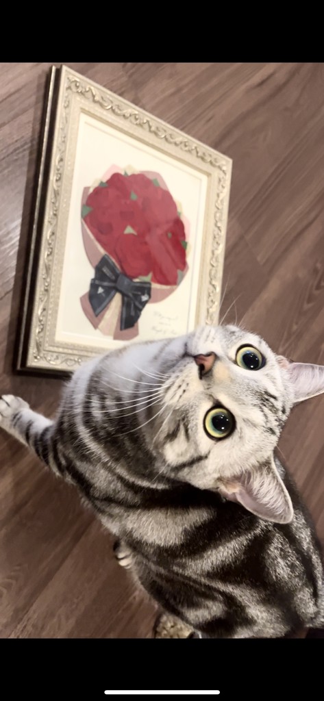 投稿写真