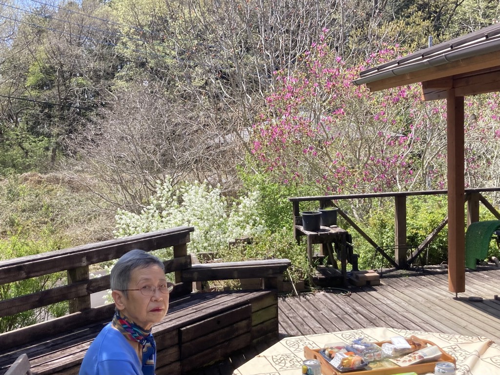 投稿写真