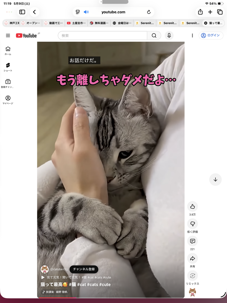 投稿写真