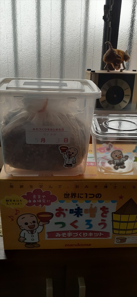 投稿写真