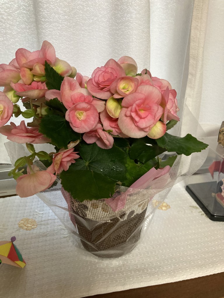 ユーザー写真