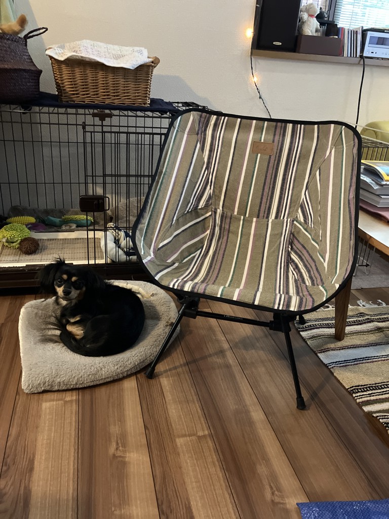 ティパールチェア(RED): 『チャイハネ』公式通販