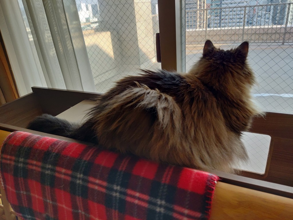 ユーザー写真