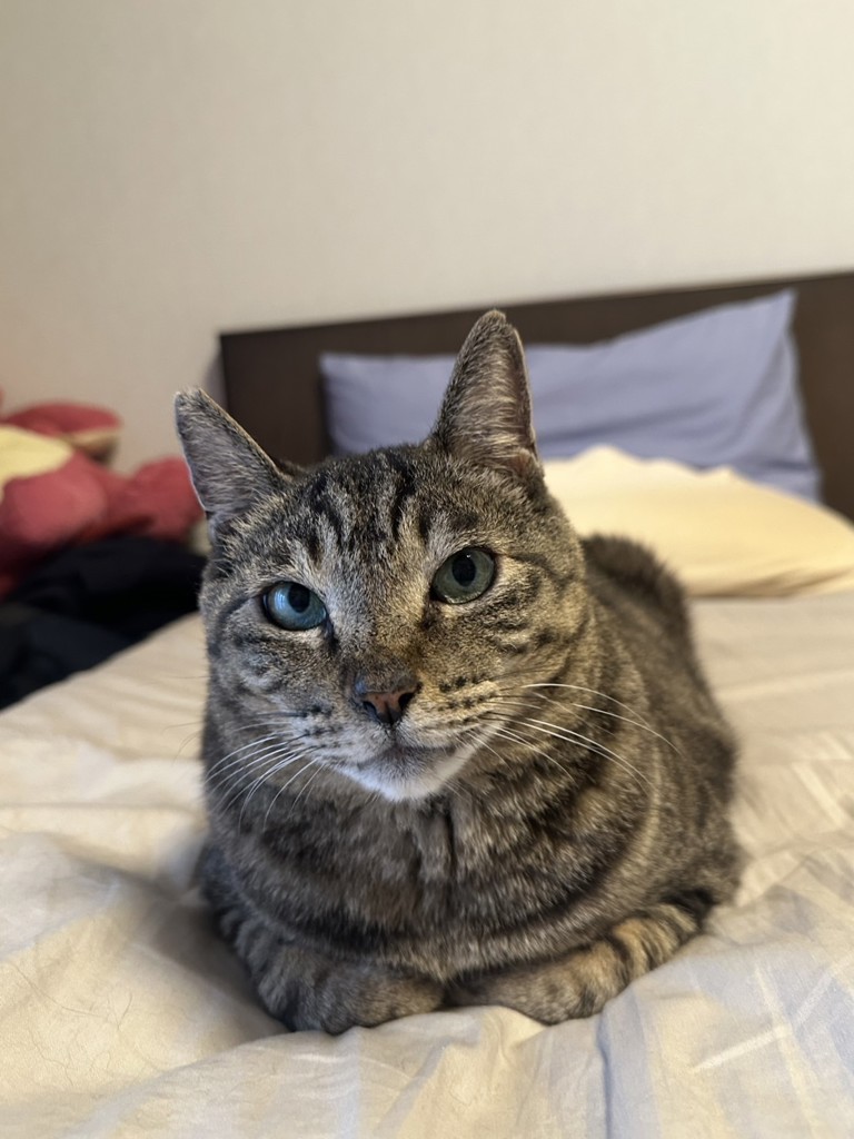 ユーザー写真