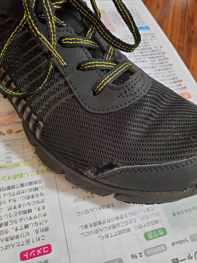 投稿写真