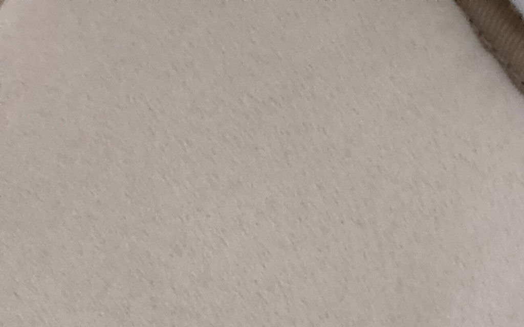 投稿写真