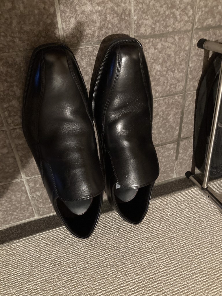 投稿写真