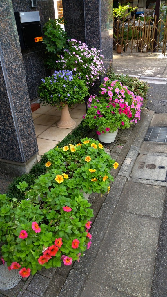 投稿写真