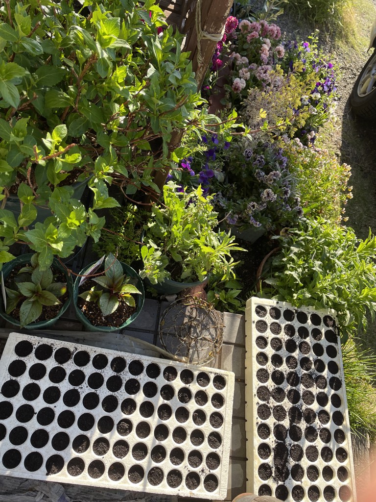 ユーザー写真