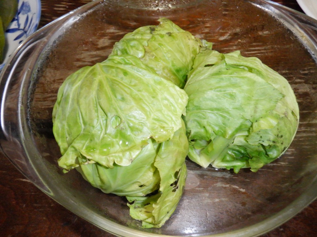 投稿写真