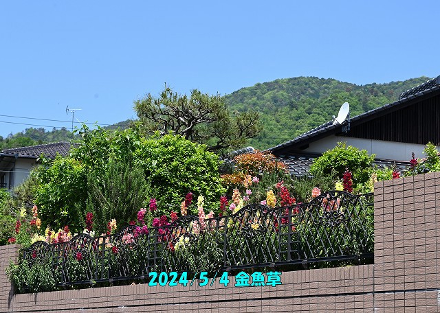 ユーザー写真