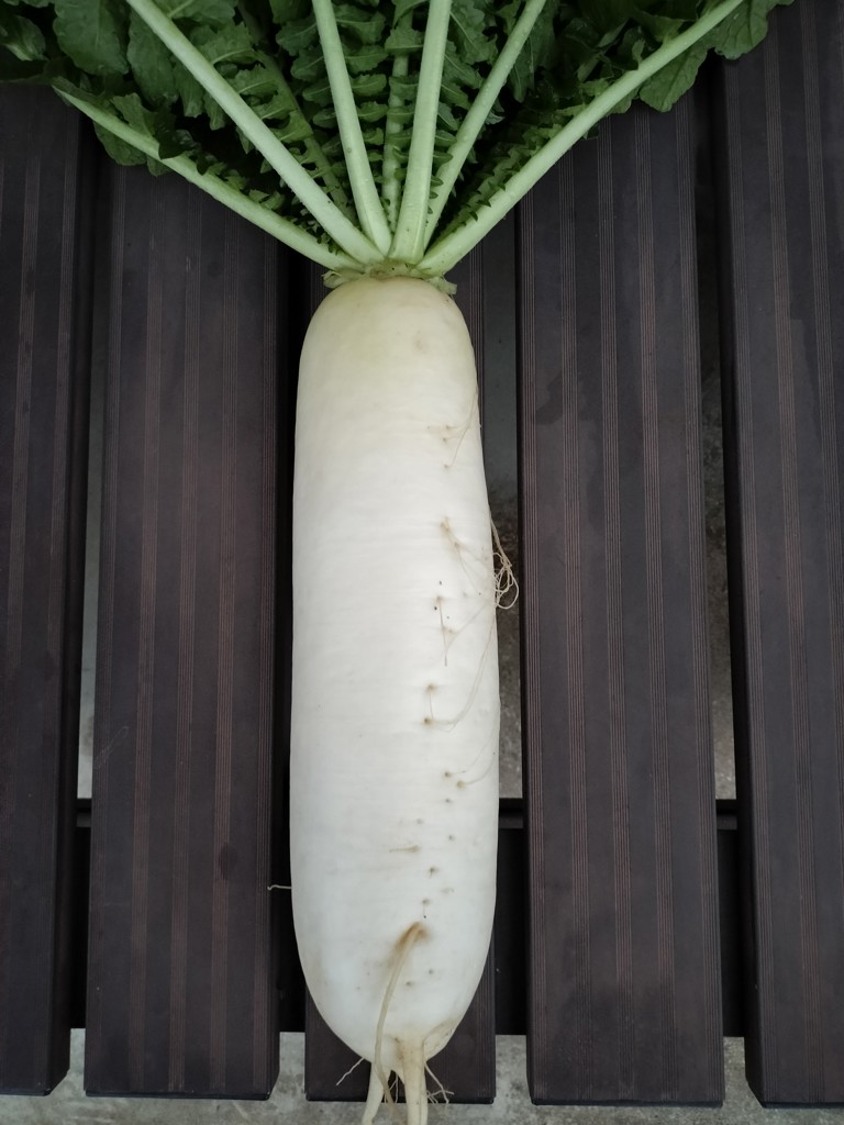ユーザー写真