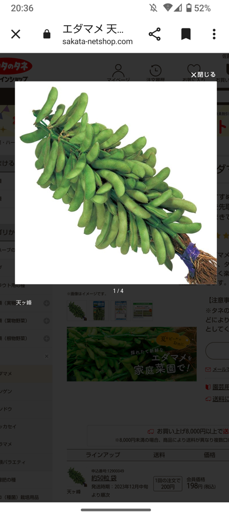 投稿写真