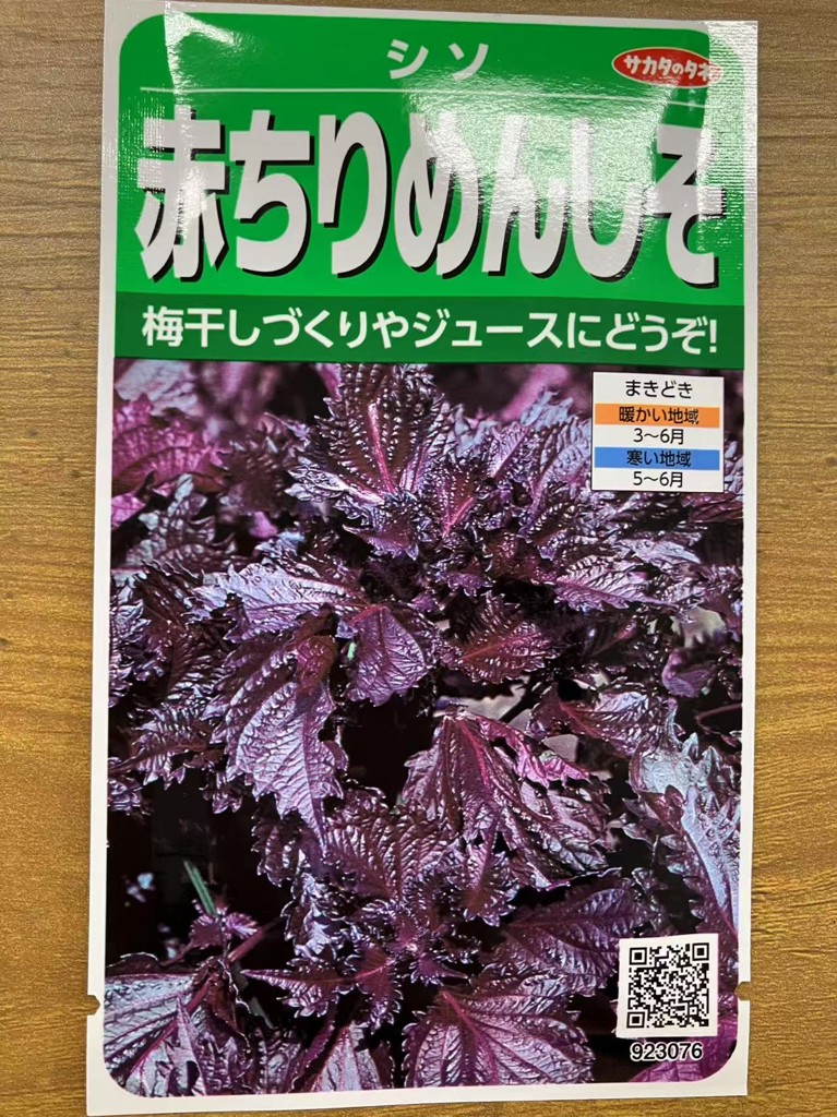 ユーザー写真