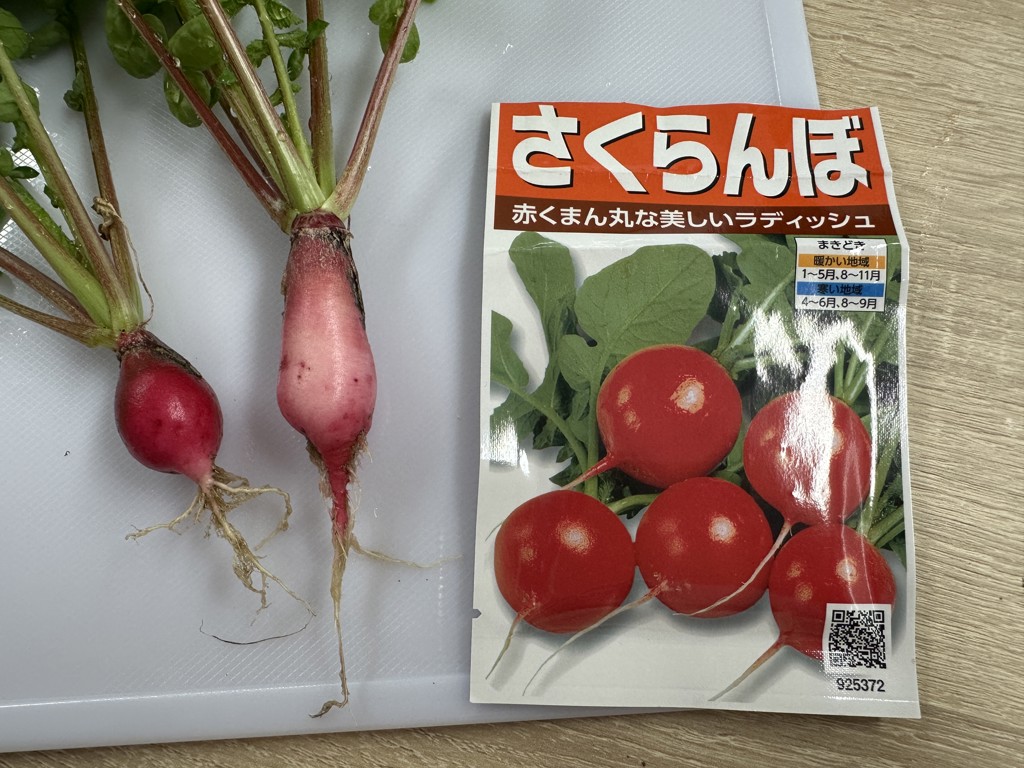ユーザー写真