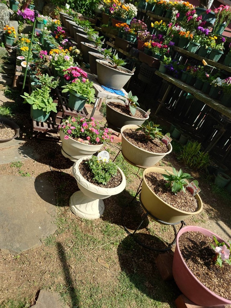 ユーザー写真