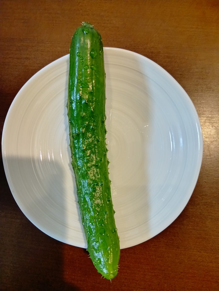 投稿写真