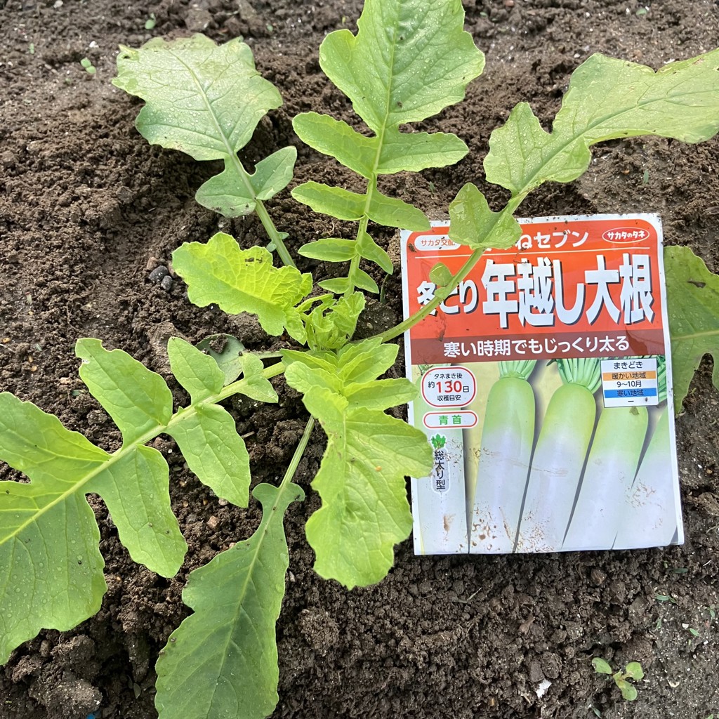 ユーザー写真