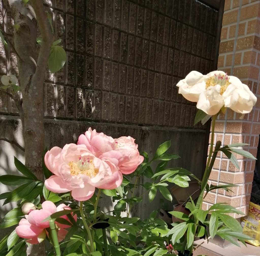 ユーザー写真
