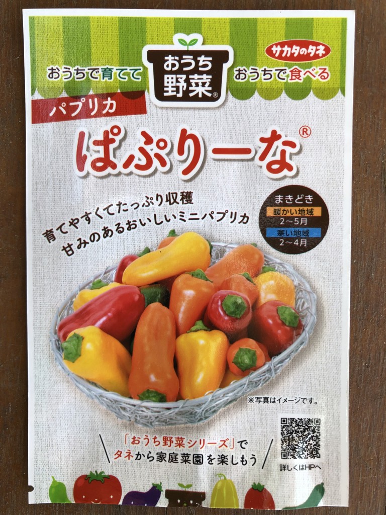 投稿写真