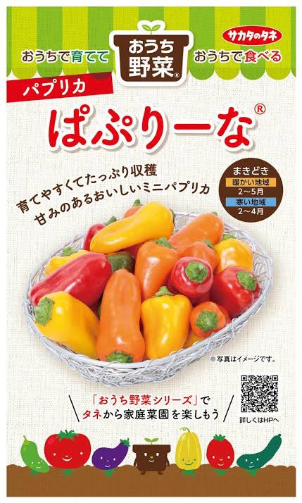 投稿写真