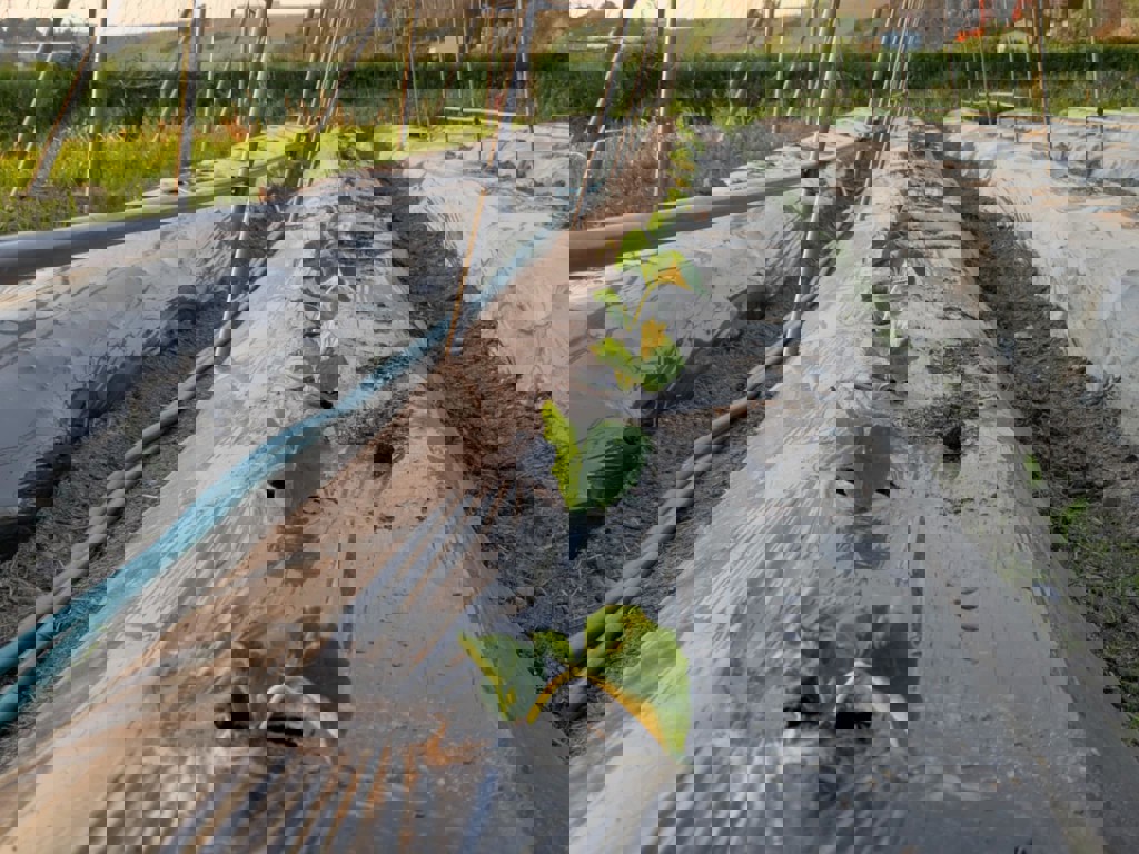 ユーザー写真
