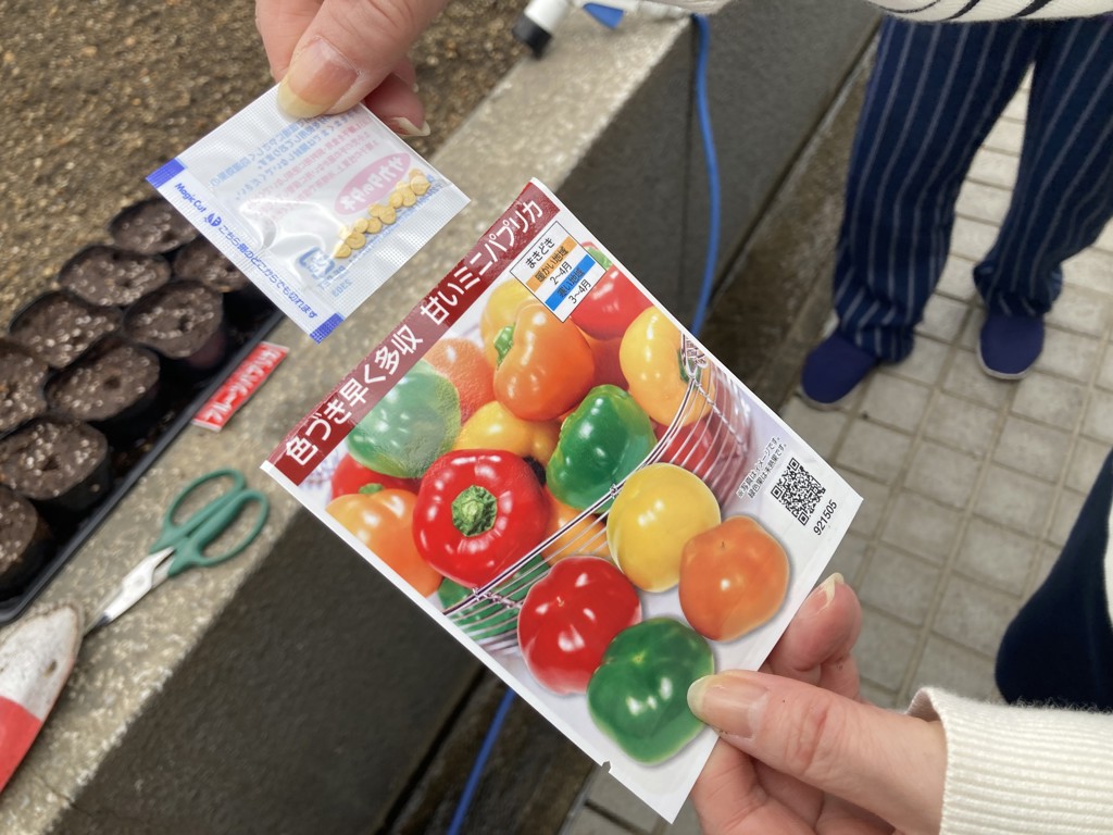 投稿写真