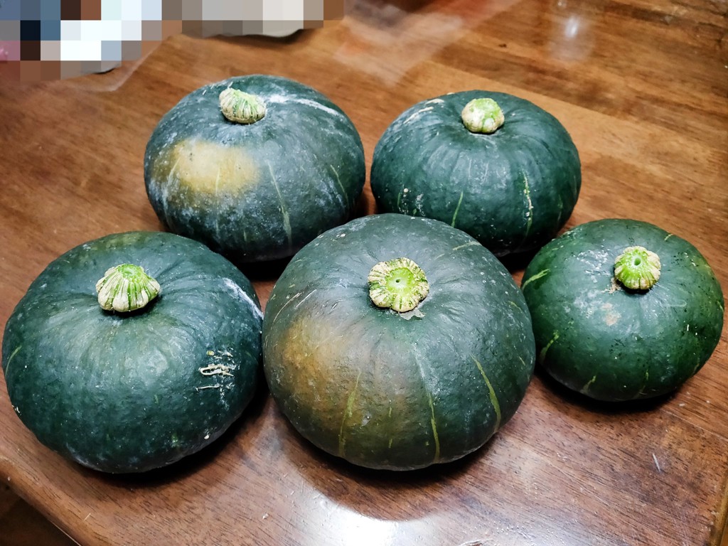 投稿写真