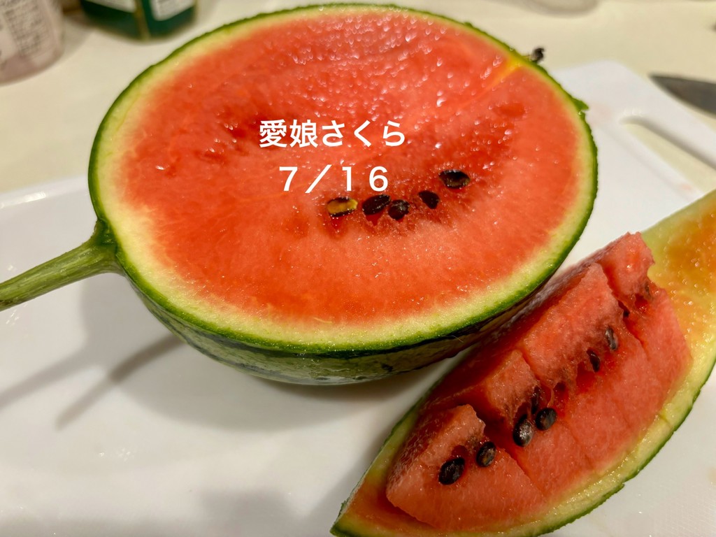 ユーザー写真