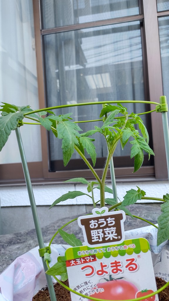 ユーザー写真
