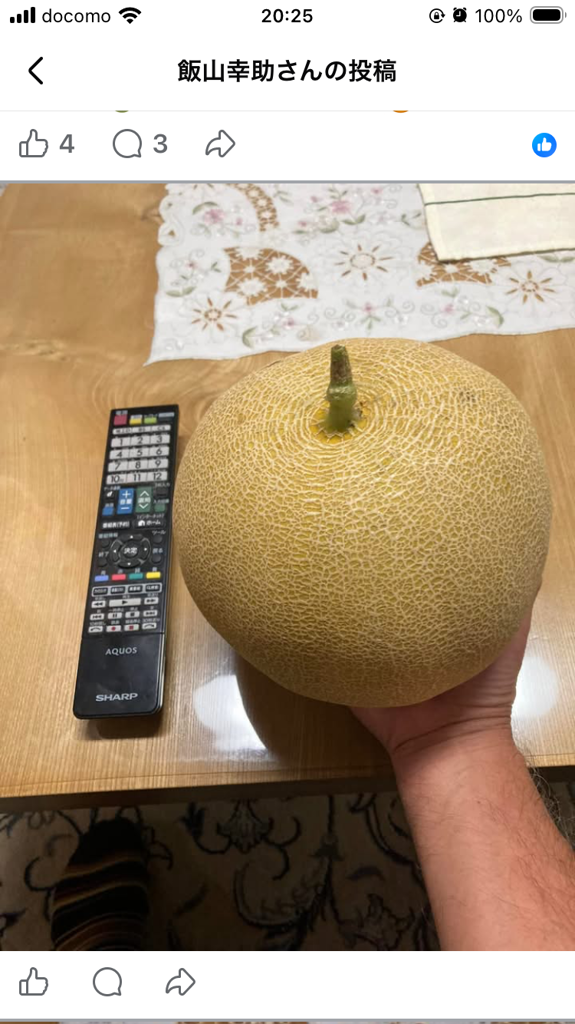 投稿写真