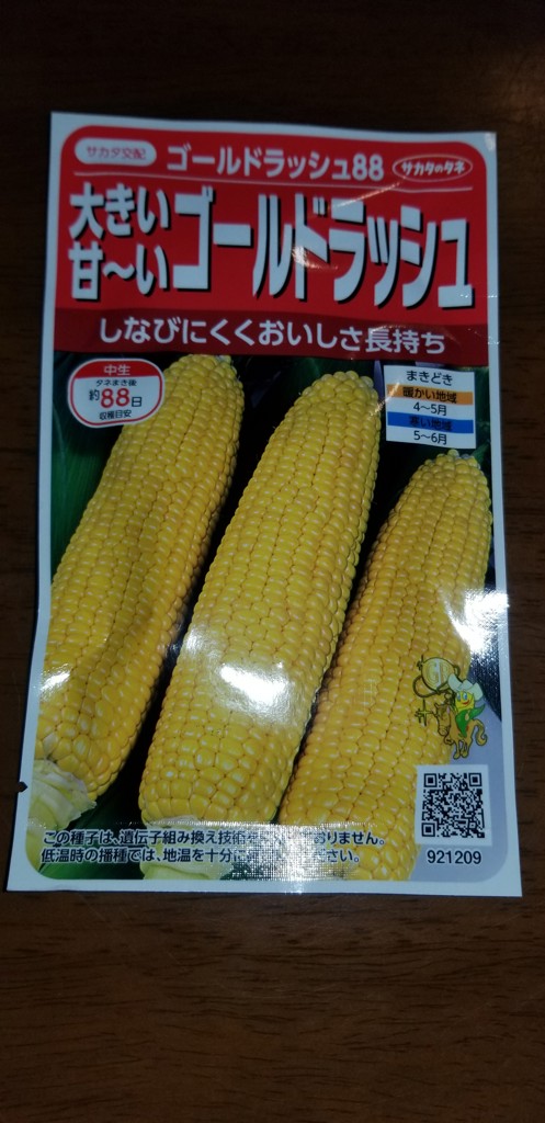 投稿写真