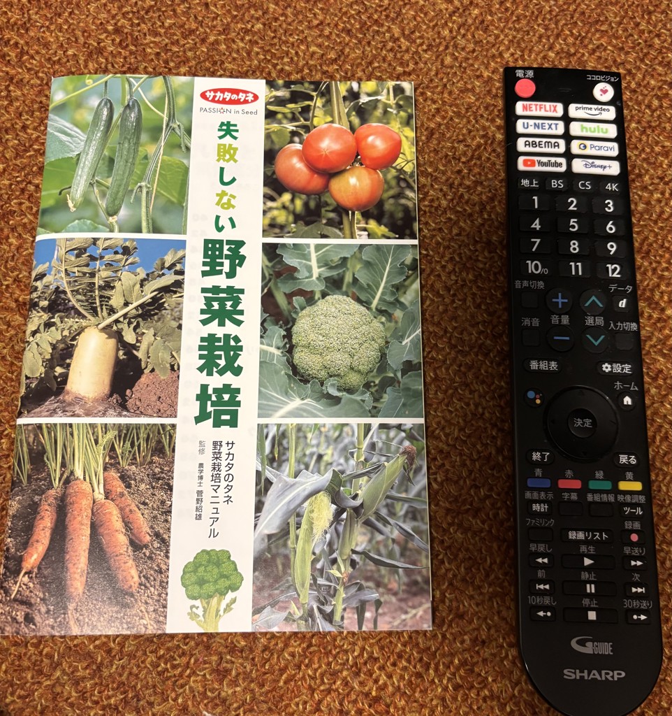 投稿写真