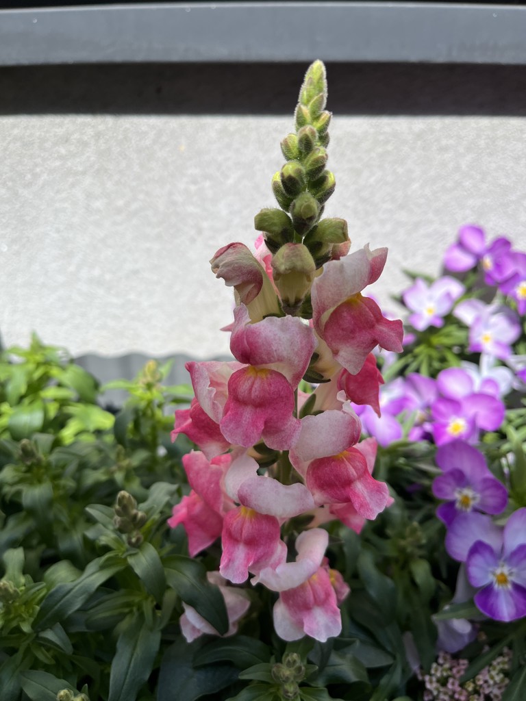ユーザー写真