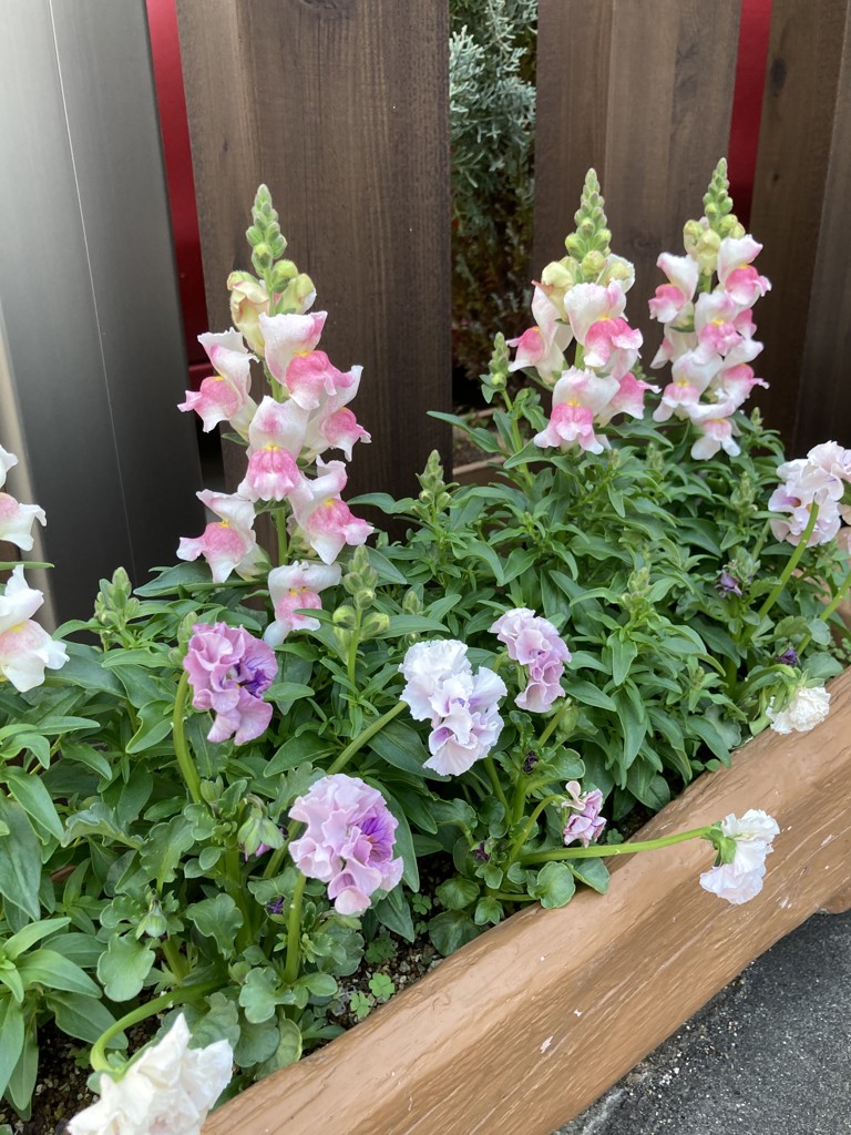 ユーザー写真