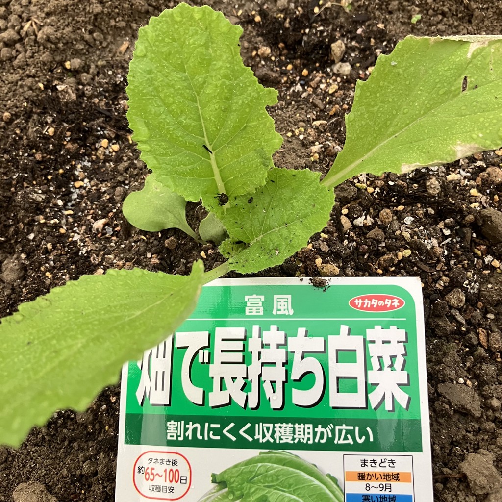 ユーザー写真