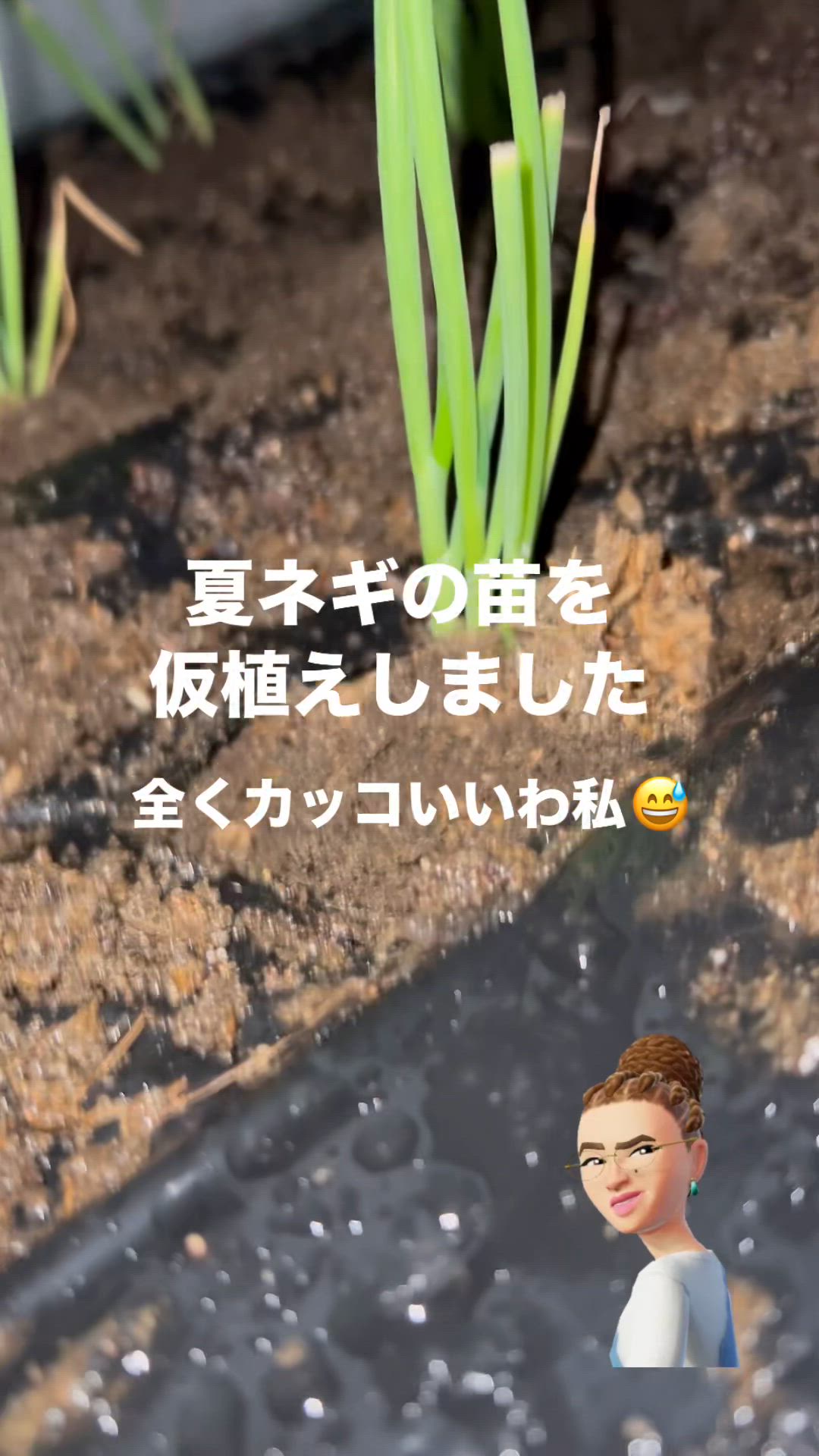 ユーザー動画
