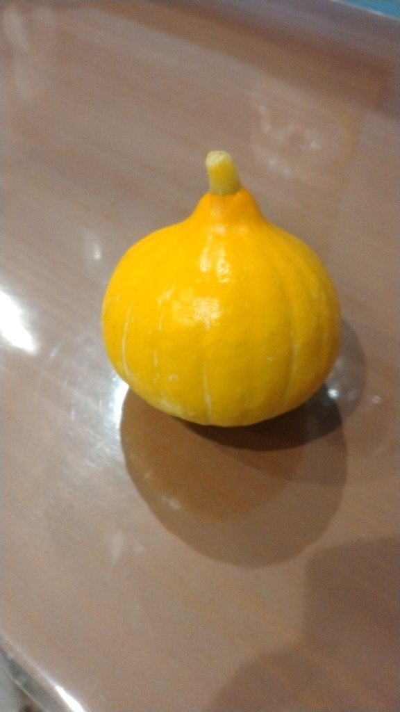 ユーザー写真