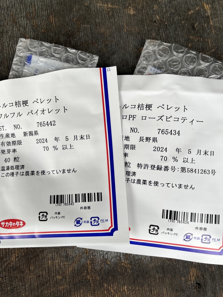 投稿写真