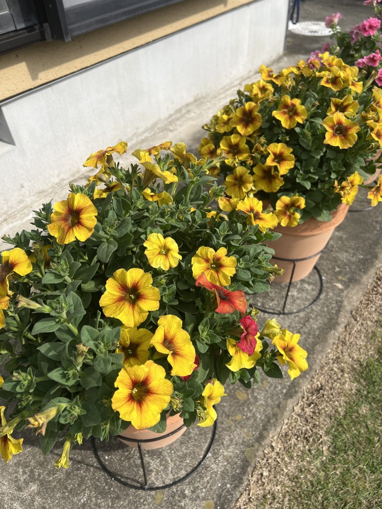 ユーザー写真