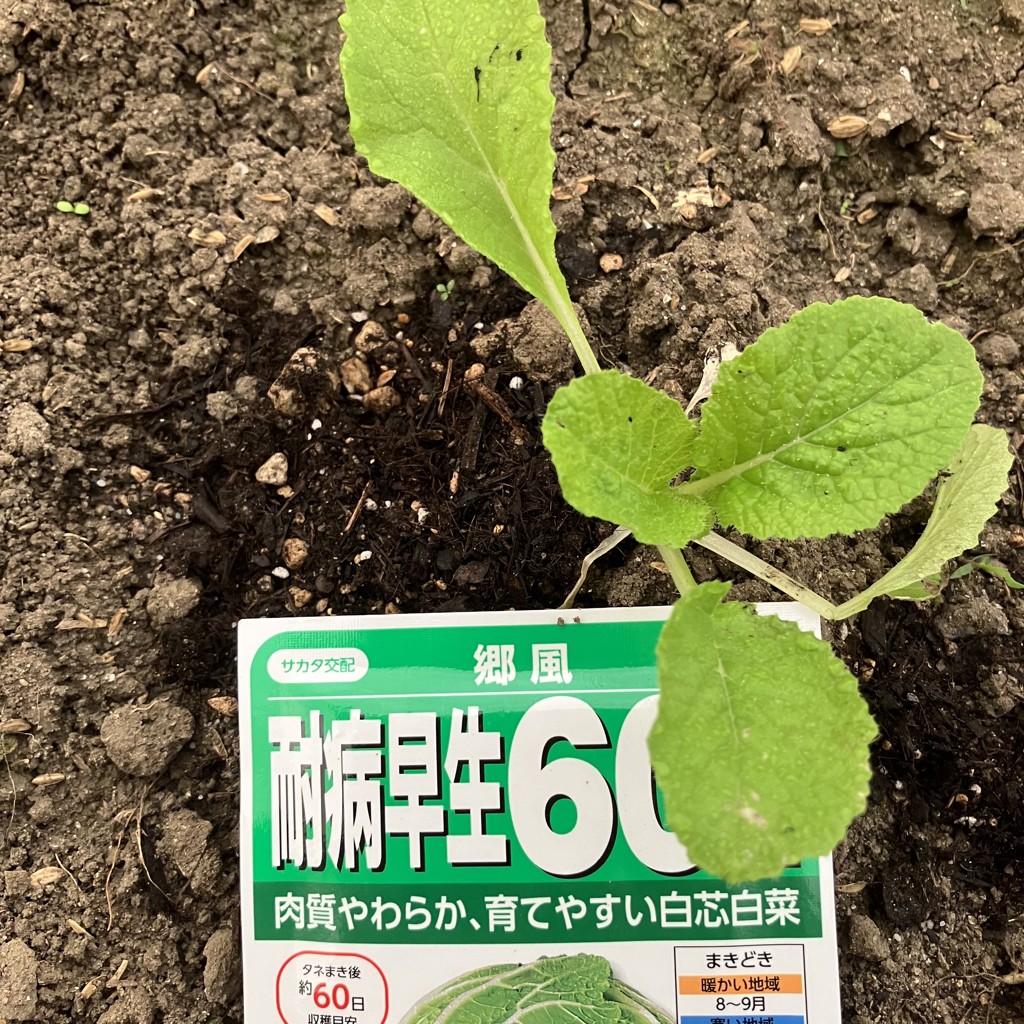 ユーザー写真
