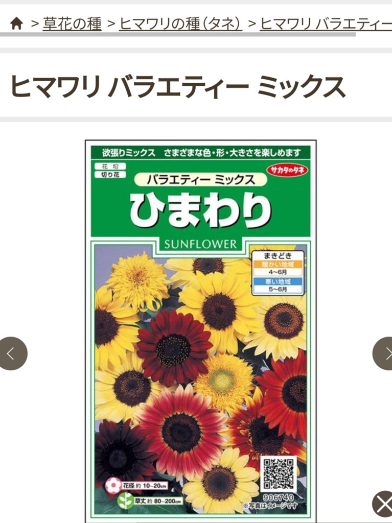 ユーザー写真