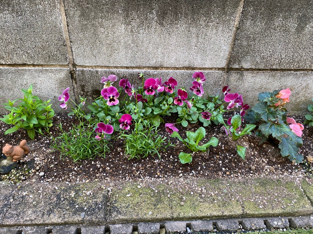 ユーザー写真