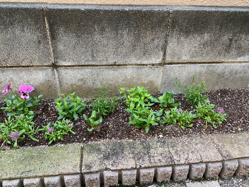 ユーザー写真