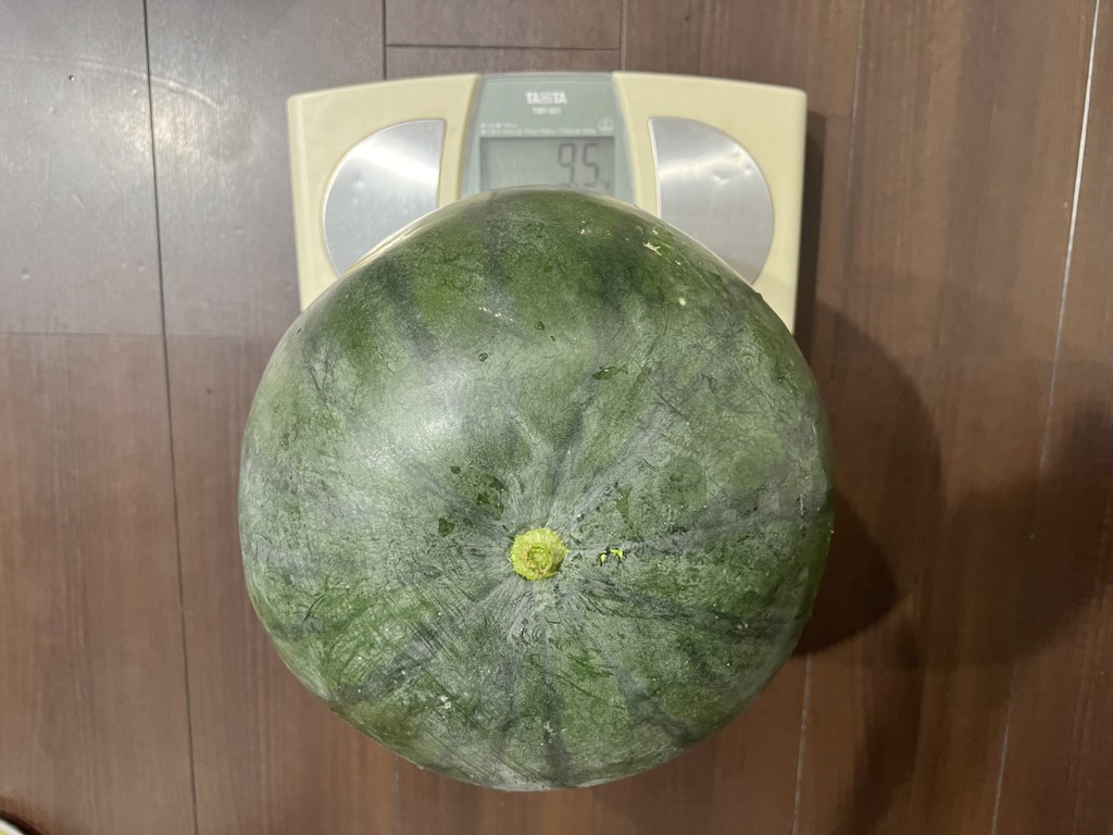 ユーザー写真