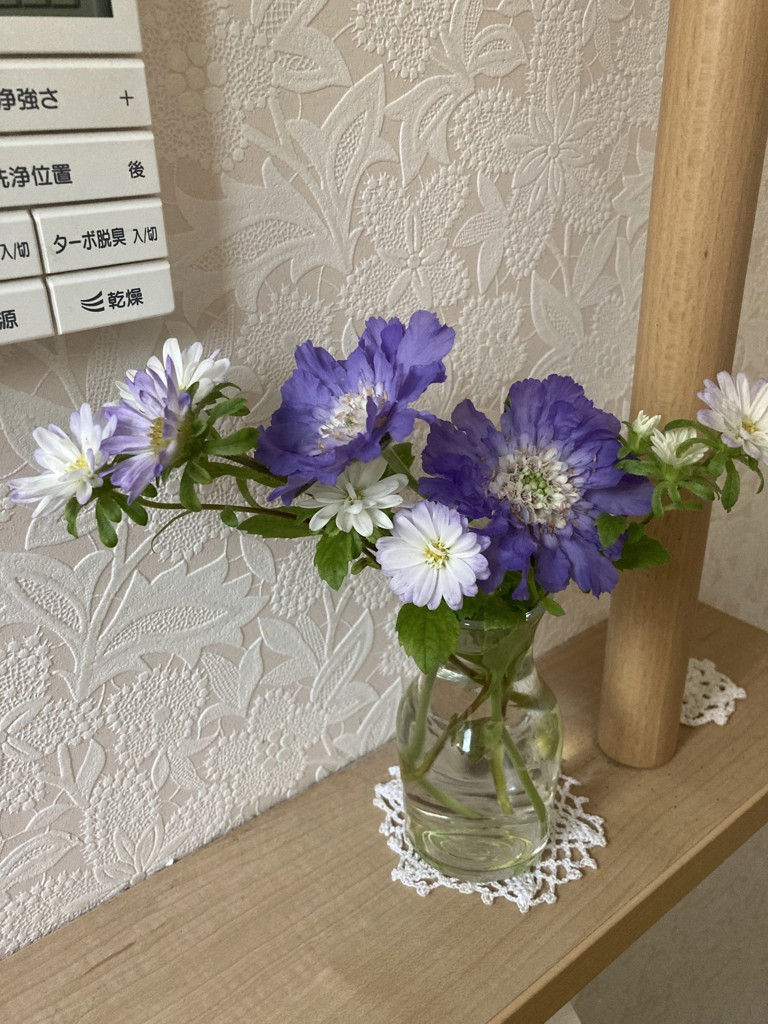 ユーザー写真