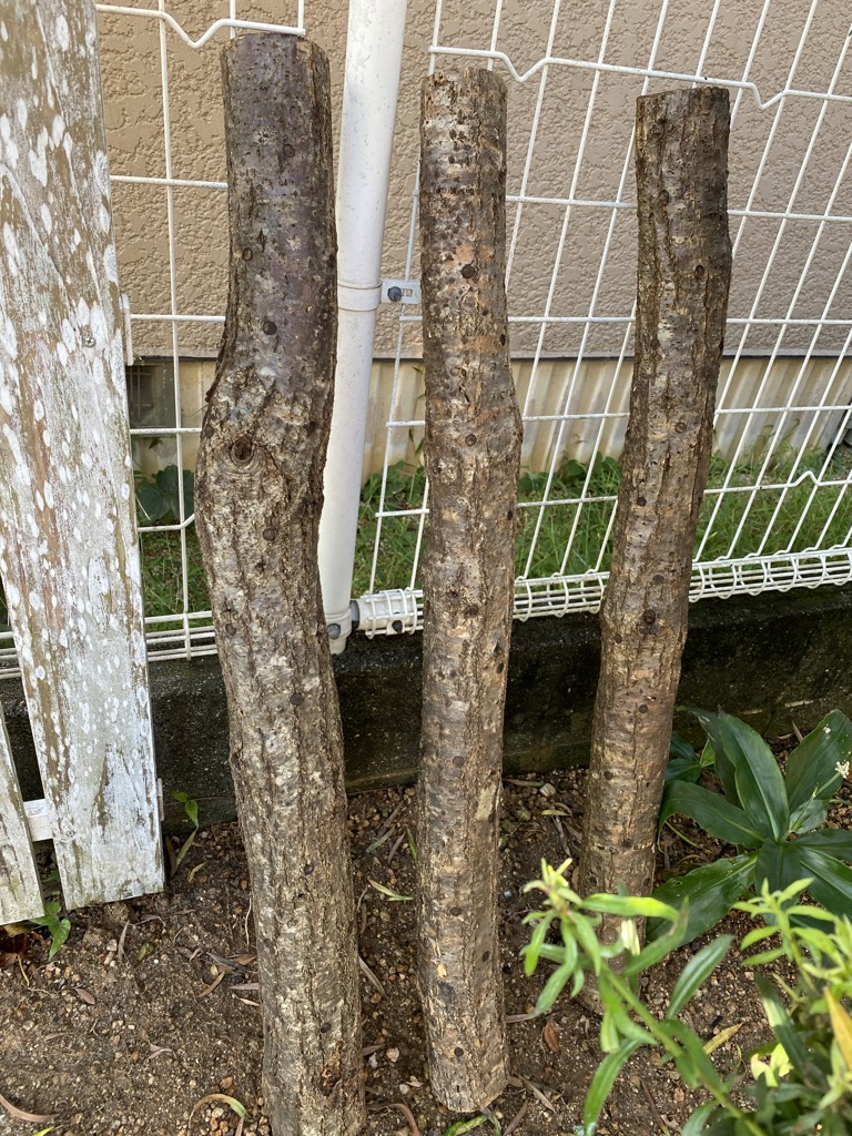 ユーザー写真